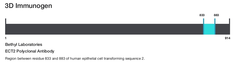 ECT2 Polyclonal Antibody