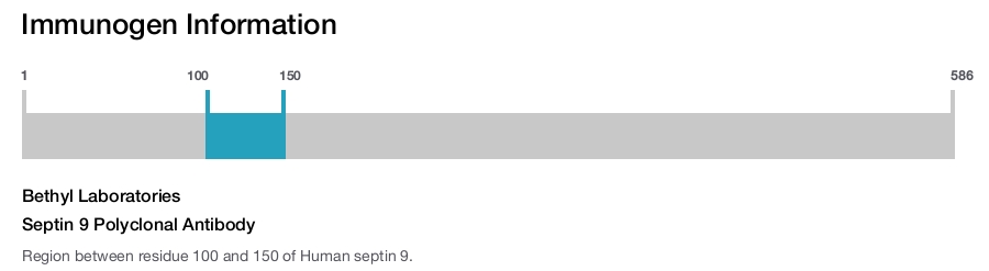 Septin 9 Polyclonal Antibody