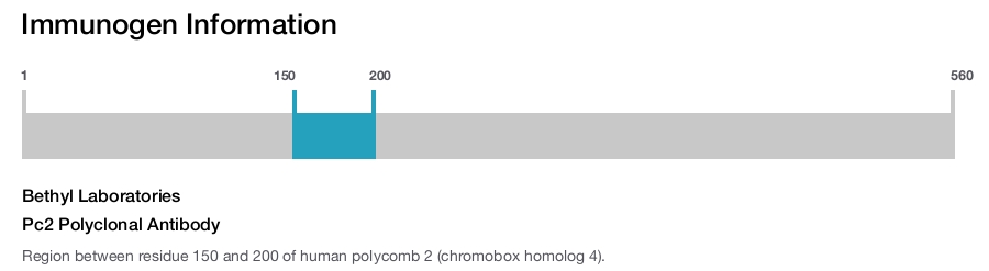 Pc2 Polyclonal Antibody
