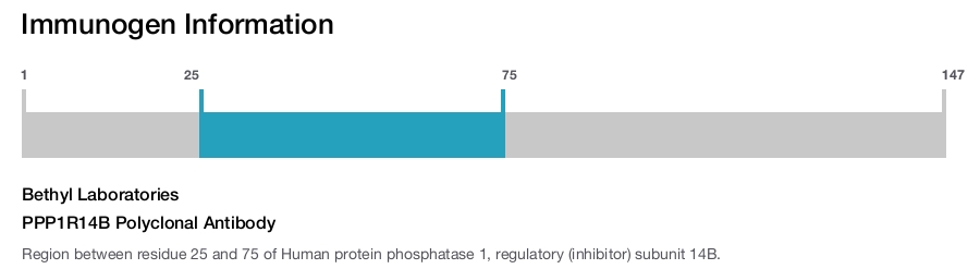 PPP1R14B Polyclonal Antibody