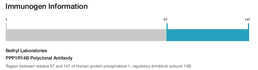 PPP1R14B Polyclonal Antibody