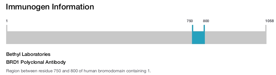BRD1 Polyclonal Antibody