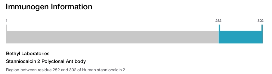 Stanniocalcin 2 Polyclonal Antibody