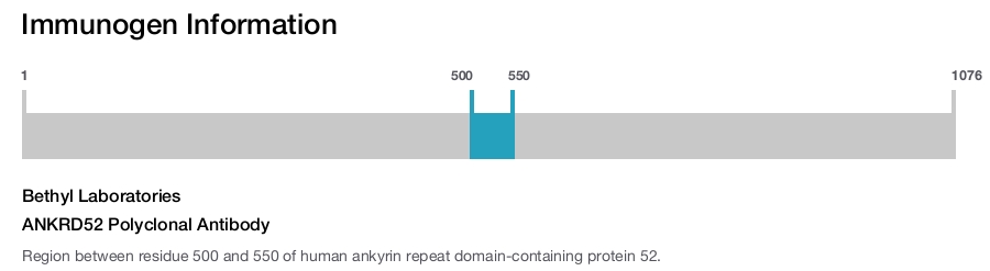 ANKRD52 Polyclonal Antibody
