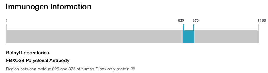 FBXO38 Polyclonal Antibody