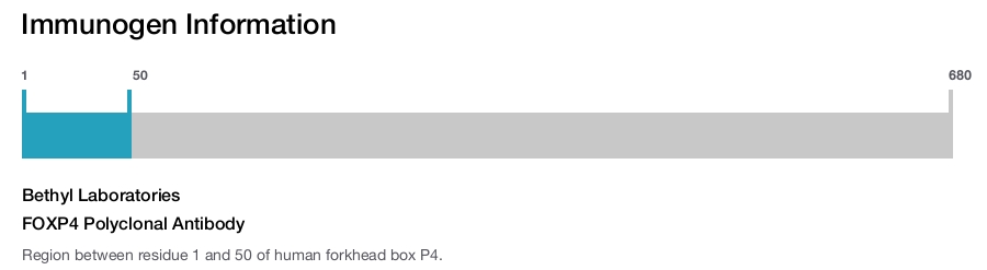 FOXP4 Polyclonal Antibody