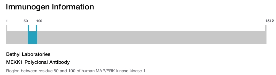 MEKK1 Polyclonal Antibody