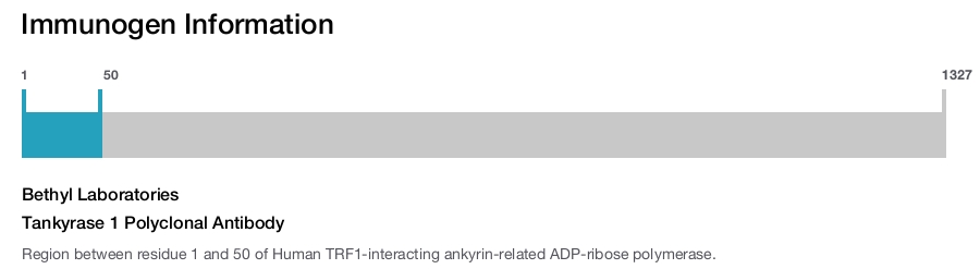 Tankyrase 1 Polyclonal Antibody