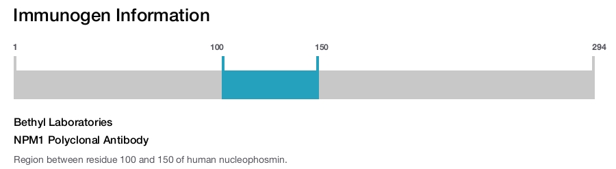 NPM1 Polyclonal Antibody
