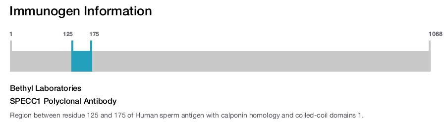 SPECC1 Polyclonal Antibody