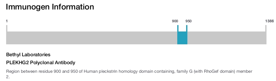 PLEKHG2 Polyclonal Antibody