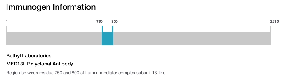 MED13L Polyclonal Antibody