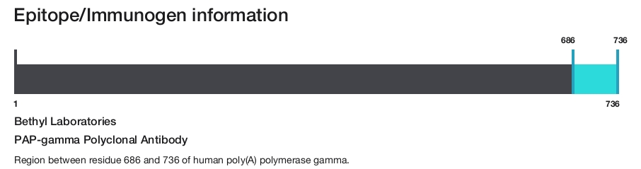 PAP-gamma Polyclonal Antibody