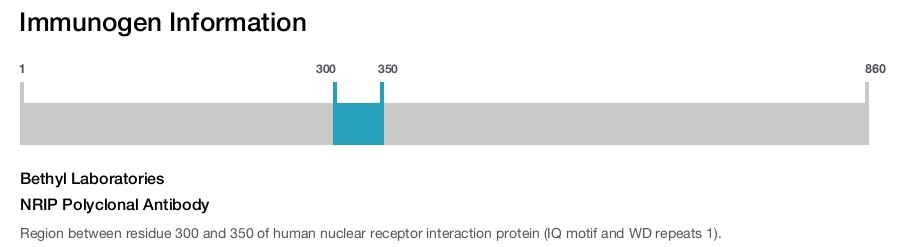 NRIP Polyclonal Antibody