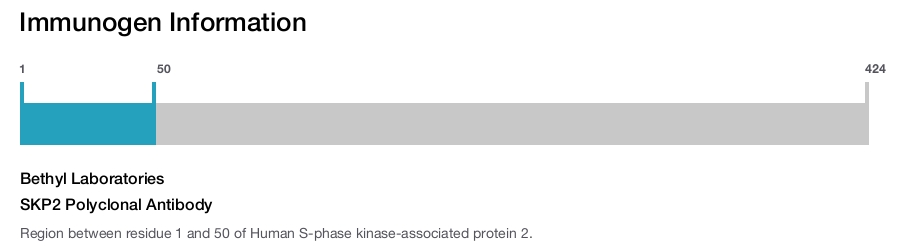 SKP2 Polyclonal Antibody
