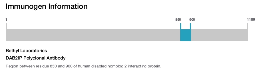 DAB2IP Polyclonal Antibody