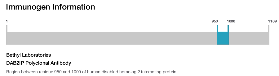 DAB2IP Polyclonal Antibody