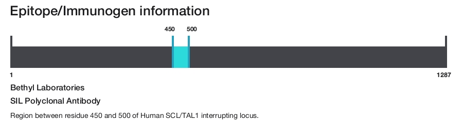SIL Polyclonal Antibody