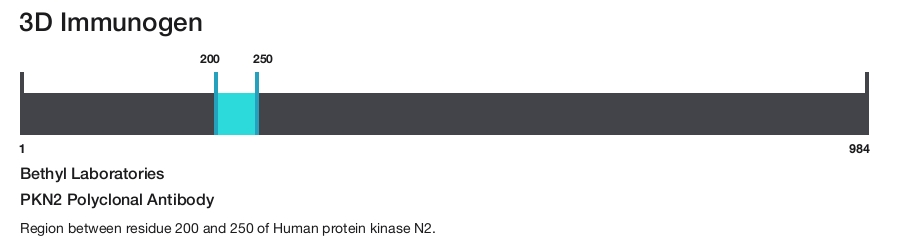 PKN2 Polyclonal Antibody