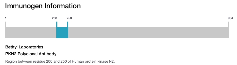 PKN2 Polyclonal Antibody