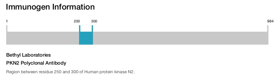 PKN2 Polyclonal Antibody