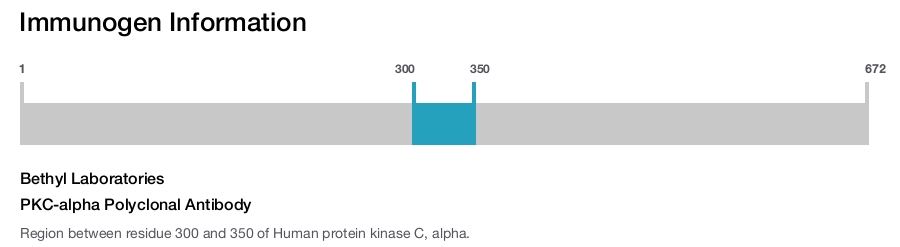 PKC-alpha Polyclonal Antibody