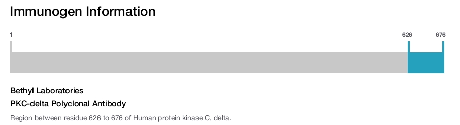 PKC-delta Polyclonal Antibody