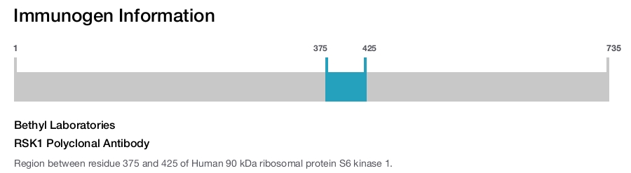 RSK1 Polyclonal Antibody