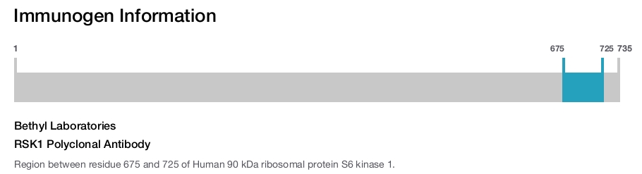 RSK1 Polyclonal Antibody