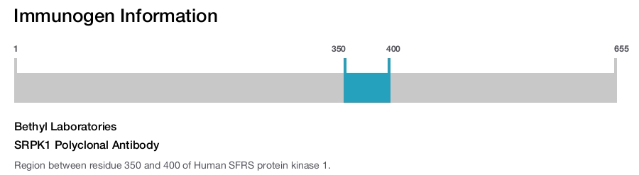 SRPK1 Polyclonal Antibody