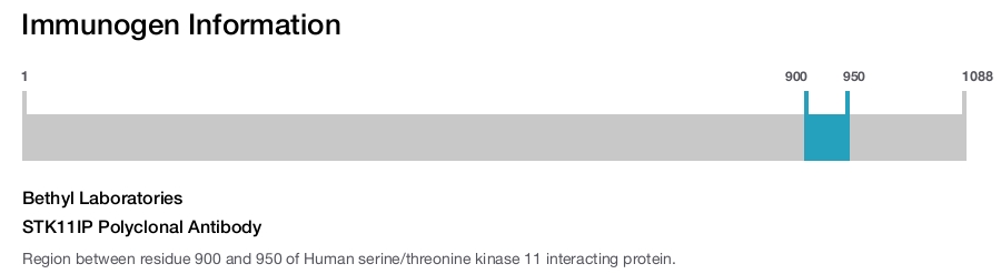 STK11IP Polyclonal Antibody