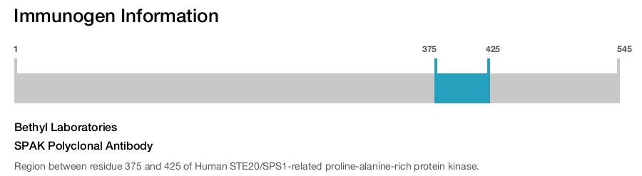 SPAK Polyclonal Antibody