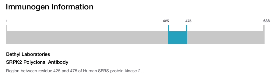SRPK2 Polyclonal Antibody
