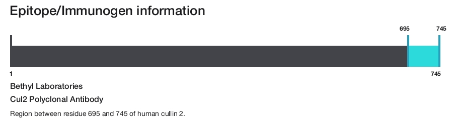 Cul2 Polyclonal Antibody