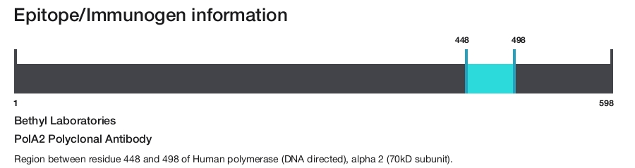 PolA2 Polyclonal Antibody