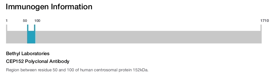CEP152 Polyclonal Antibody