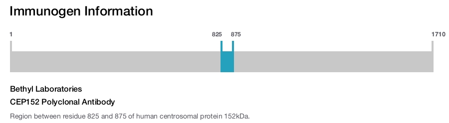 CEP152 Polyclonal Antibody