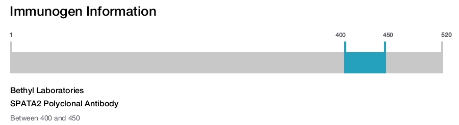 SPATA2 Polyclonal Antibody