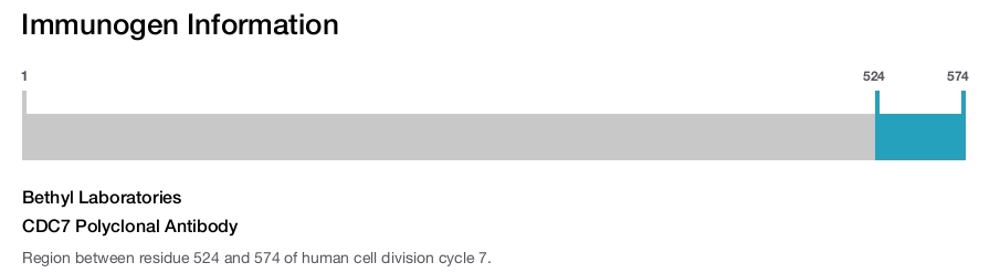 CDC7 Polyclonal Antibody