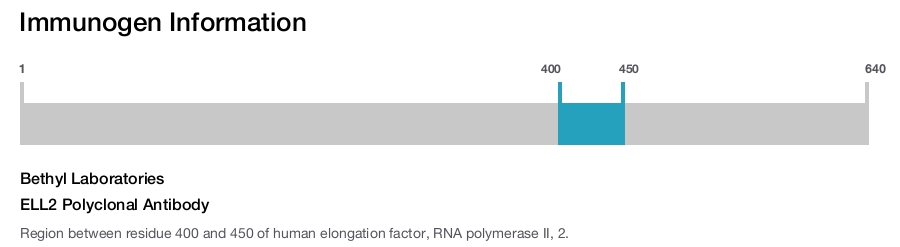 ELL2 Polyclonal Antibody