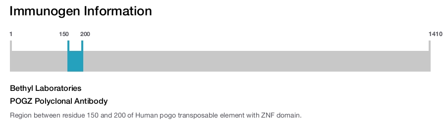 POGZ Polyclonal Antibody