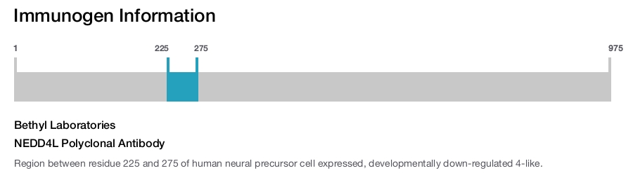NEDD4L Polyclonal Antibody
