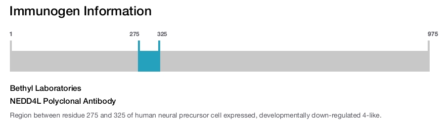 NEDD4L Polyclonal Antibody