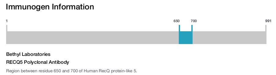 RECQ5 Polyclonal Antibody