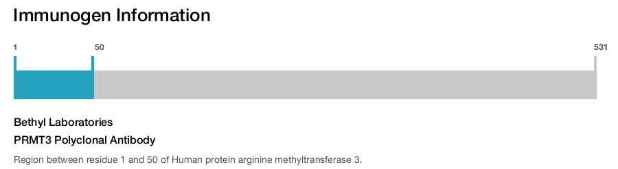PRMT3 Polyclonal Antibody
