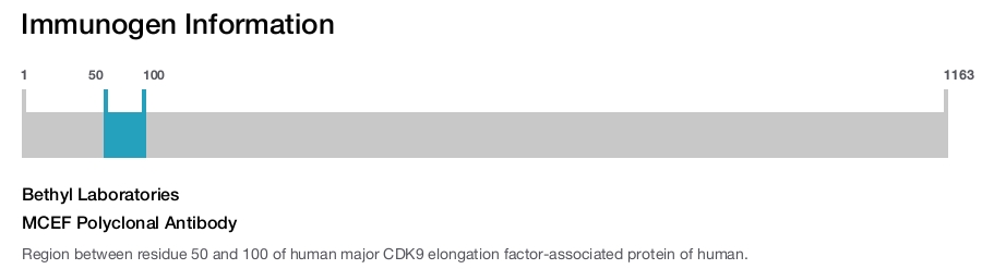 MCEF Polyclonal Antibody