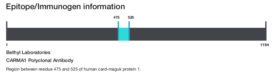 CARMA1 Polyclonal Antibody
