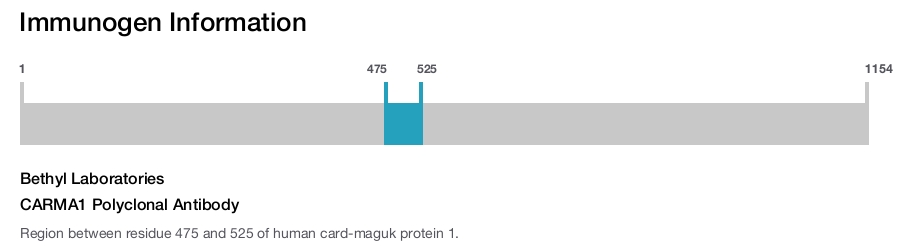 CARMA1 Polyclonal Antibody