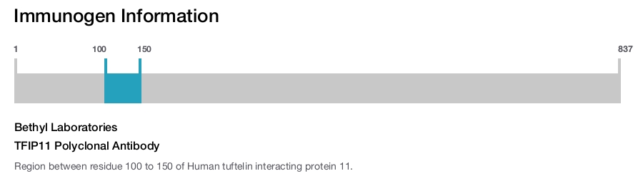 TFIP11 Polyclonal Antibody