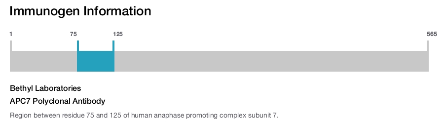 APC7 Polyclonal Antibody